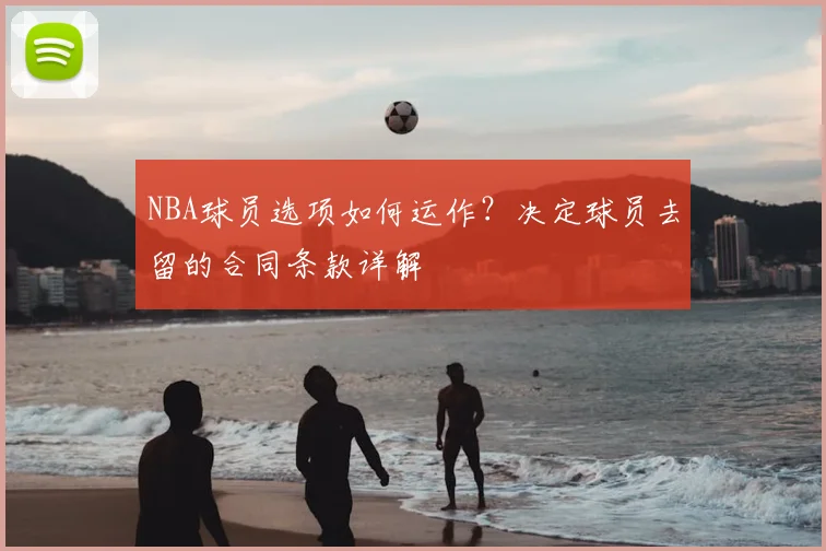NBA球员选项如何运作?决定球员去留的合同条款详解