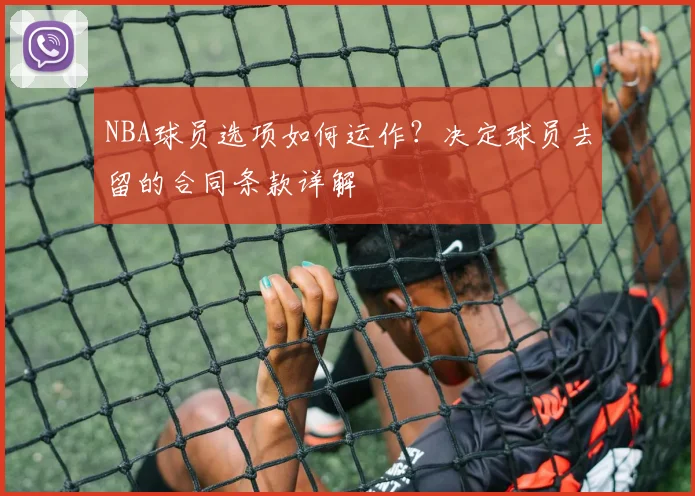 NBA球员选项如何运作？决定球员去留的合同条款详解